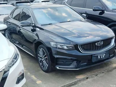 2021 Geely Xing Rui 2.0TD Luxury, фото 3, лот 10359886