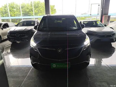2021 Buick GL8 ES Landlord 653T Premium, фото 3, лот 10385588
