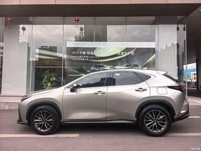 2024 Lexus NX 260 FWD Joy Creation Edition, фото 2, лот 10311672