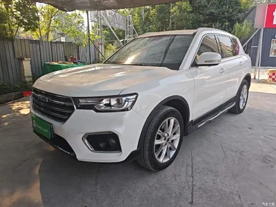 2018 Haval H7 Blue Label H7 2.0T Automatic Joy Edition, фото 2, лот 10284102