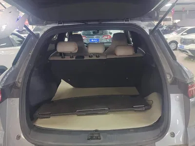 2024 BYD Song Pro New Energy Glory Edition DM-i 71KM Pilot, фото 4, лот 10326615