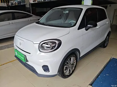 2024 Leapmotor T03 403 Comfort Edition, фото 2, лот 11081151