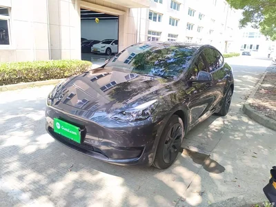 2024 Tesla Model Y Rear-Wheel Drive Version, фото 1, лот 11006723
