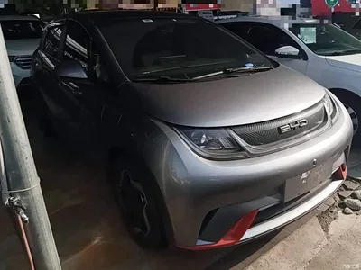 2021 BYD Dolphin Model 405km Fashion Edition, фото 4, лот 11585701