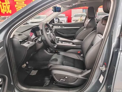 2021 Geely Xing Rui 2.0TD Luxury, фото 3, лот 10396517