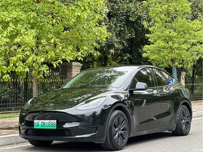 2024 Tesla Model Y Rear-Wheel Drive Version, фото 1, лот 10837374