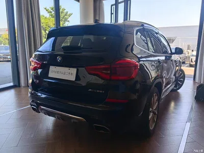 2020 BMW X3 xDrive25i Luxury Package, фото 4, лот 11567939