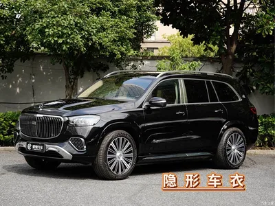 2025 Mercedes-Benz Maybach GLS GLS 480 4MATIC, фото 1, лот 10395042