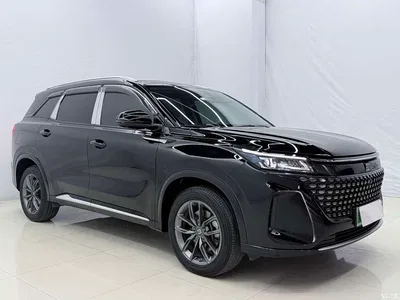 2024 Landian E5 Glory Edition 100KM Premium Type 7-Seater, фото 3, лот 11646067