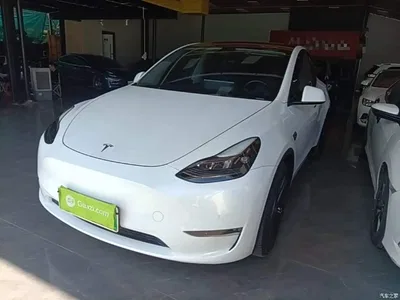 2021 Tesla Model Y Standard Range Rear-Wheel Drive, фото 1, лот 10370506