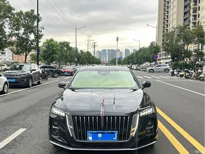 2024 Hongqi H5 2.0T Automatic Smart Connect Flag Smooth Edition, фото 2, лот 11535957