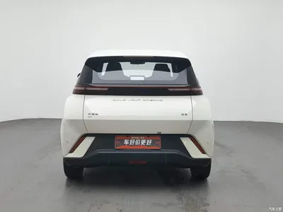 2023 BYD Seagull Flying Edition, фото 4, лот 10448404
