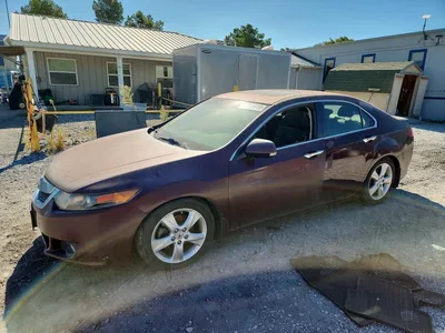 2010 ACURA TSX, фото 1, лот 10871644