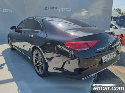 2019 Mercedes-Benz CLS-Class CLS300d 4MATIC, фото 3, лот 10046079