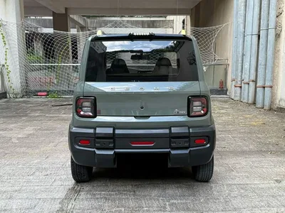 2024 Geely Galaxy Panda 200km Panda Knight, фото 4, лот 10394911