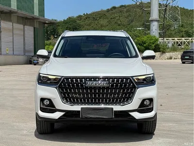 2023 Haval H6 National Trend Edition 1.5T Automatic Champion, фото 2, лот 10281348