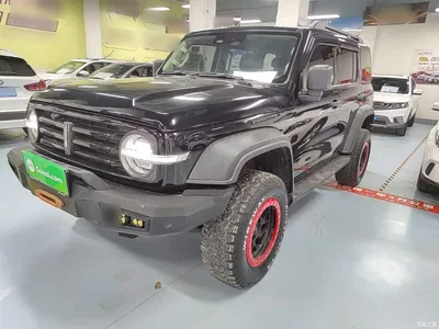 2021 Tank 300 Off-road Version 2.0T Conqueror, фото 1, лот 11099046