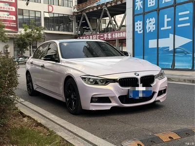 2017 BMW 3 Series 320Li M Sport, фото 3, лот 11212468