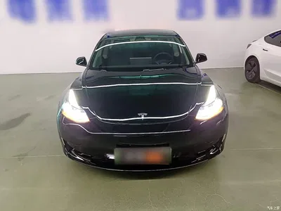 2022 Tesla Model 3 Model Rear-Wheel Drive Version, фото 3, лот 10376972