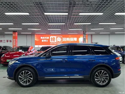2020 Lincoln Adventurer 2.0T 2WD Premium Elegance Edition, фото 3, лот 10357649