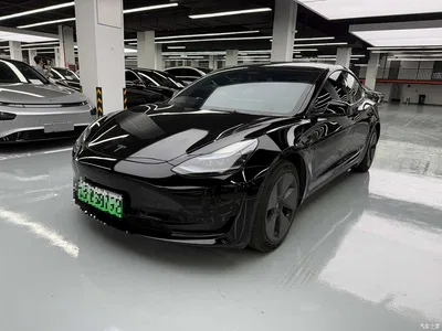2023 Tesla Model 3 Rear-Wheel Drive, фото 1, лот 10346506