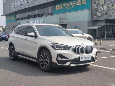 2020 BMW X1 xDrive25Li Premium Edition, фото 3, лот 10455611