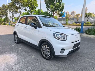 2024 Leapmotor T03 310 Comfort Edition, фото 2, лот 10894061