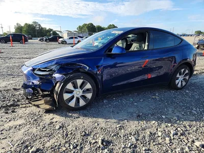2023 TESLA MODEL Y, фото 1, лот 10664683