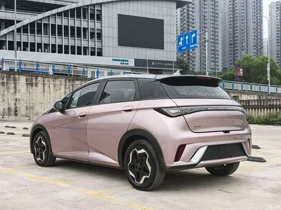 2021 BYD Dolphin Model 405km Fashion Edition, фото 4, лот 10448763