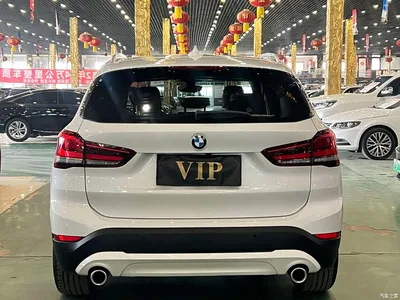 2021 BMW X1 sDrive25Li Leading, фото 4, лот 10466026