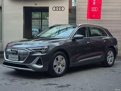 2021 Audi e-tron 50 quattro Luxury, фото 1, лот 10473795