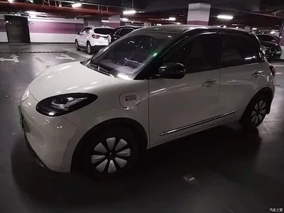 2023 Wuling Motors Wuling Bingo Model 333km Joy+ Version, фото 1, лот 11451106