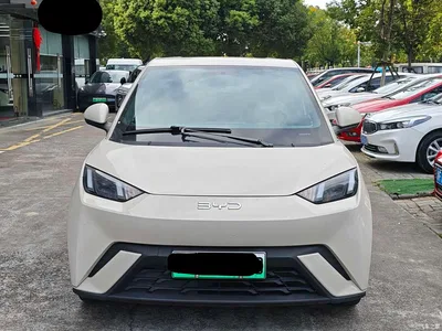 2024 BYD Seagull Glory Edition 405km Soaring Edition, фото 2, лот 10587240