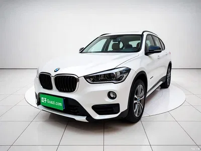 2018 BMW X1 xDrive20Li Premium Model, фото 2, лот 11194096