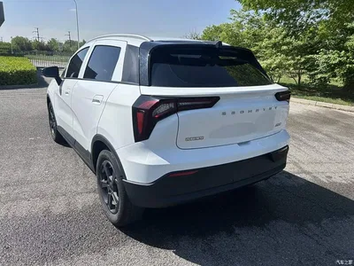 2023 Geely E Firefly 320KM Cute Tiger 5-seater, фото 3, лот 11169645