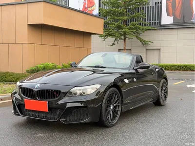 2009 BMW Z4 sDrive23i Premium, фото 1, лот 11067599