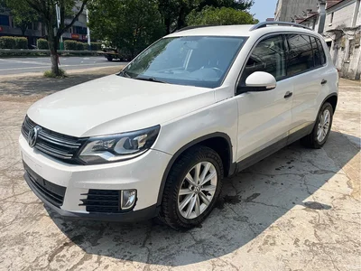 2016 Volkswagen Tiguan 280TSI Automatic 2WD Silk Road Fashion Edition, фото 1, лот 10807705