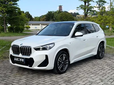 2023 BMW X1 sDrive25Li M Sport Package, фото 1, лот 10465104