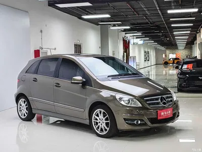 2009 Mercedes-Benz B-Class B 200 Fashion, фото 3, лот 10253706