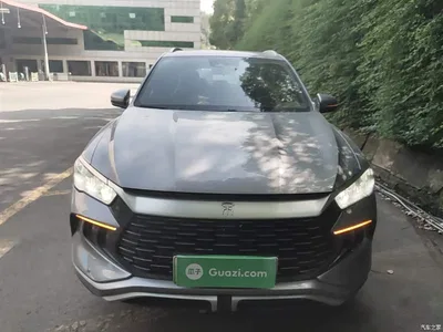 2023 BYD Song Pro New Energy Champion Edition DM-i 110KM Surpassing Type, фото 3, лот 10276825