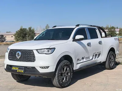 2020 Great Wall Pao Model 2.0T Commercial Automatic Diesel 4WD Elite Long Bed GW4D20M, фото 1, лот 10440130