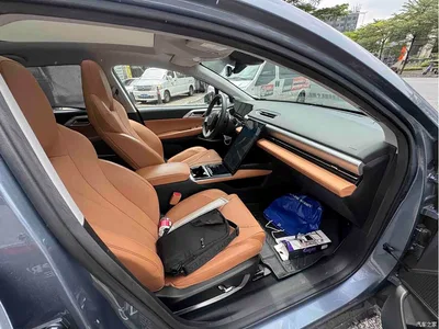 2022 XPeng P5 Model 510E, фото 4, лот 10381655
