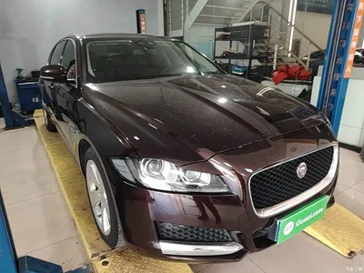 2020 Jaguar XFL 2.0T P200 2WD Elite Edition, фото 4, лот 11007524