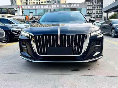 2025 Hongqi H5 1.5T DCT 600,000 Units Commemorative Edition, фото 2, лот 10361108