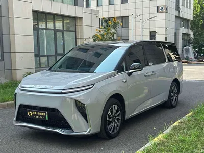 2024 SAIC Maxus Dajia 9 Super Hybrid Ultra Long Range Forest Edition 7-Seater, фото 1, лот 11160905
