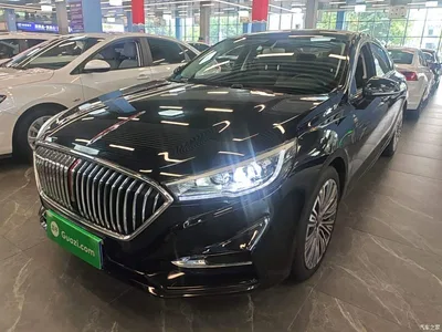 2022 Hongqi H5 Classic Facelift 1.5T DCT Flag Rhythm Edition, фото 1, лот 10289160