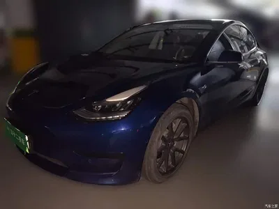 2020 Tesla Model 3 Standard Range Rear-Wheel Drive Upgrade, фото 2, лот 10769288