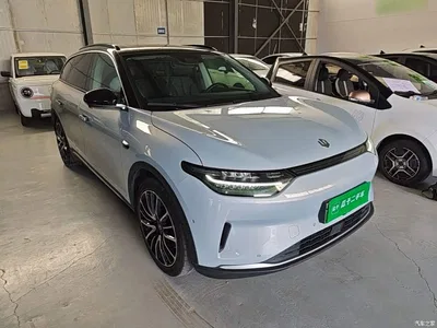 2021 Leapmotor C11 Luxury Edition, фото 4, лот 10441655