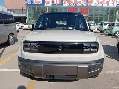 2026 Baojun Yueye Plus 301km Flagship, фото 3, лот 10835232
