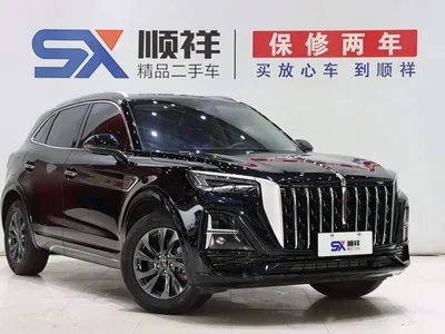 2023 Hongqi HS5 2.0T Flag Enjoy Pro Edition, фото 3, лот 10286470